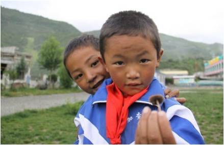 �ɂ��W(xu��)���������(f��)����W(xu��)��֧��꠆T�����_(d��)�Ѻ����f��һֻСĢ�����挦�㌍�ĺ��ӂ���֧��꠆T������ϣ���ǡ��������҂�������҂��������S������