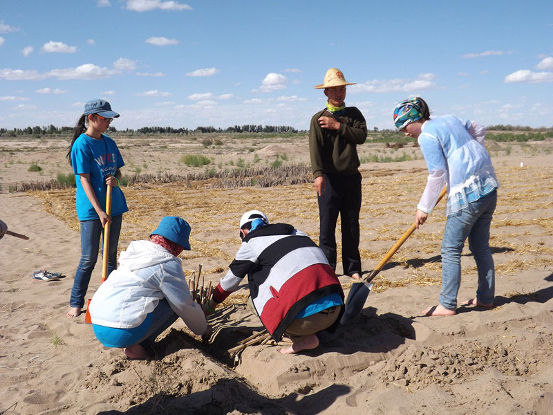 �@�N1.5��Ҋ(ji��n)�������ݸ�������ɳЧ����������^(gu��)4��5���͕�(hu��)�L(f��ng)�g��������Ҫ�����a(b��)����