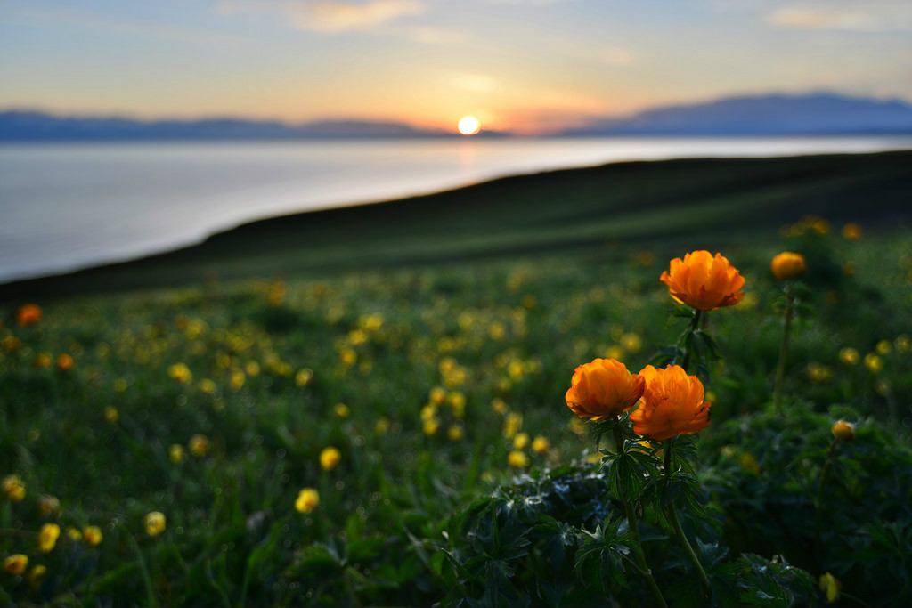 ��������l(xi��ng)�ĸ����