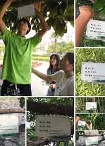 �K���r(n��ng)�W(xu��)Ժ�O(sh��)ӋУ�@ֲ����Ƭ�������K�r(n��ng)�Gɫ���}