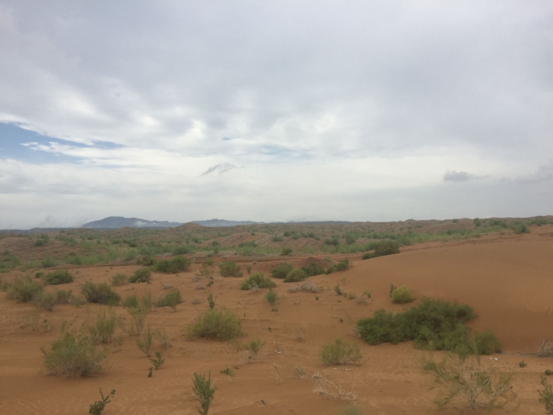 �v����ɳĮ�޾W(w��ng)������ݷ����ﲼ�M�[�d��ɳ��ֲ����