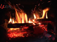 �t��t����~����������ʳ���ρ�