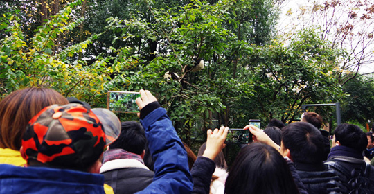 �@�����ӵ������ɶ����W(w��ng)�j(lu��)���ˁ�(l��i)�c(di��n)ٝ