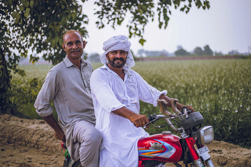 芝麻種植基地給當?shù)厝藥砀嗑蜆I(yè)機會。（人民網(wǎng)記者 薛丹攝）