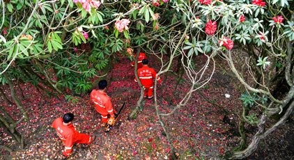 烏蒙深處的“護花使者”